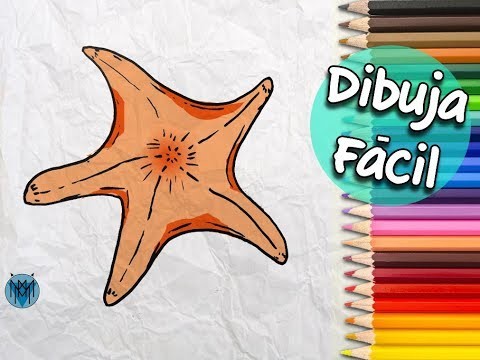 Cómo Dibujar una Estrella de Mar Fácil