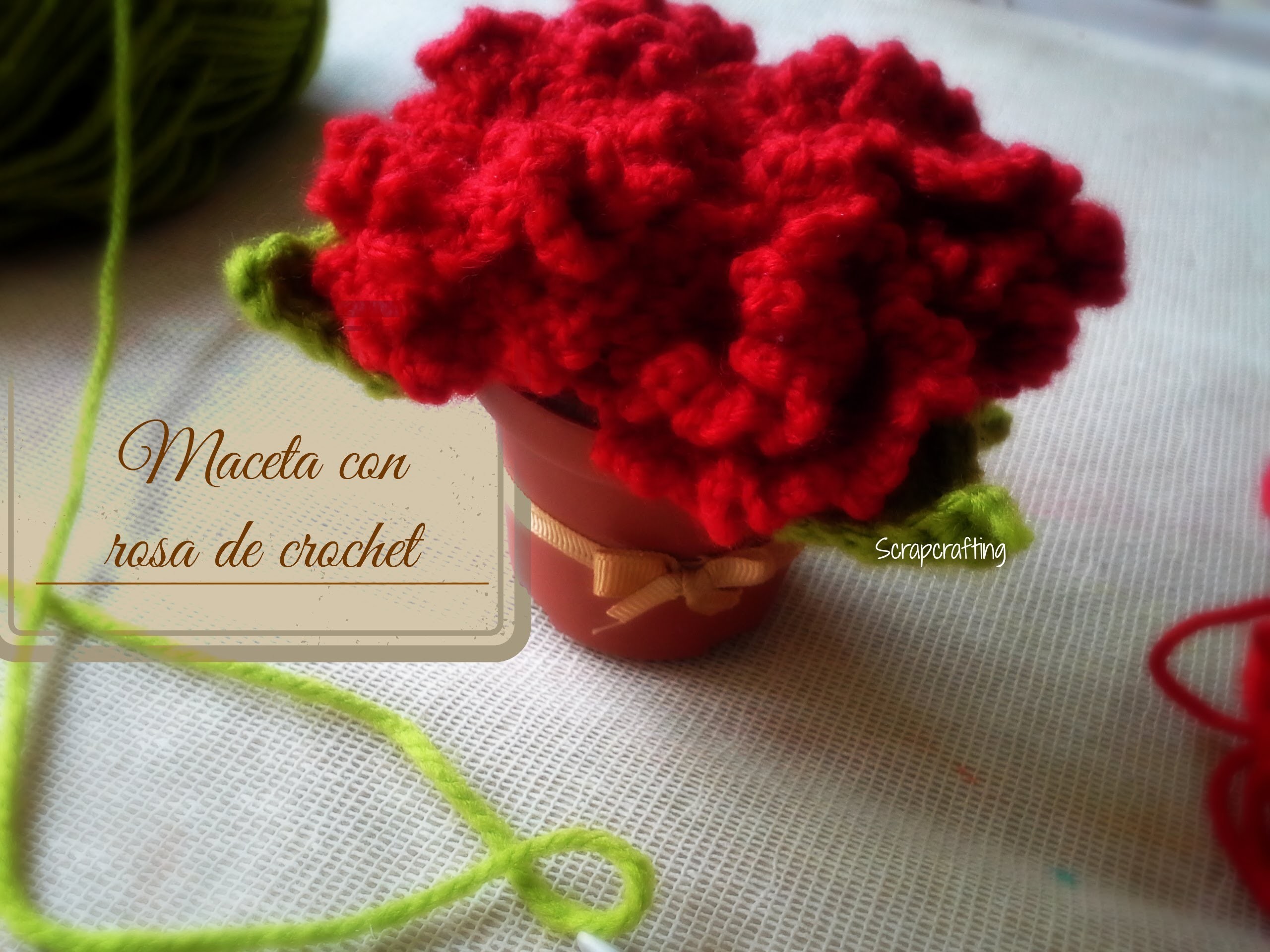Maceta con rosas de crochet: Día de las madres