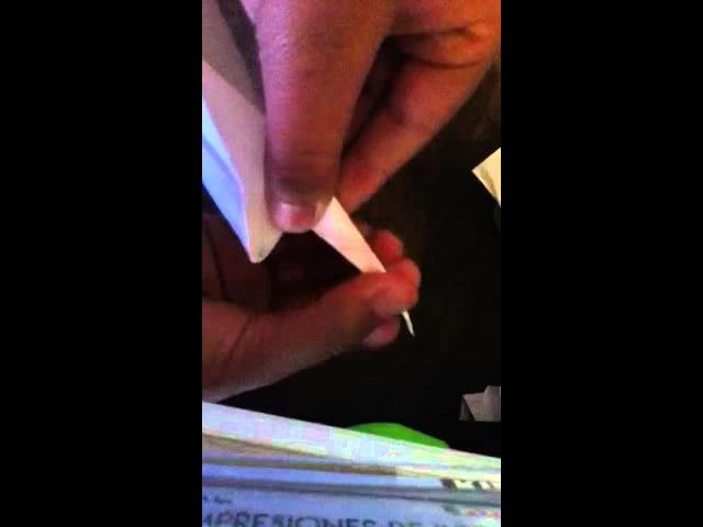 Suricato de origami