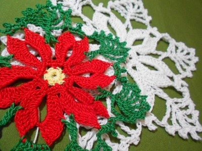 Noche Buena Crochet