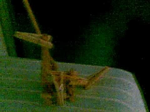 Arjonilla (Ciegos Nocturnos) - Hacer un dragon con pinzas de madera