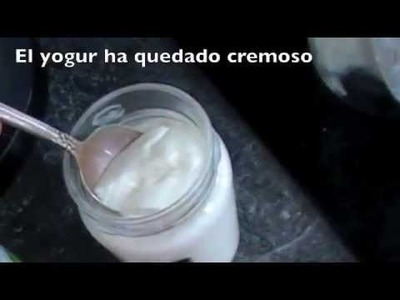 Delicioso Yogur casero, fácil de preparar. Homemade DIY yogurt. EcoDaisy