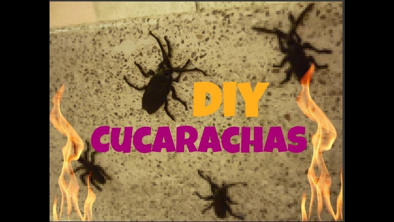 DIY Cucarachas para Halloween ►Decoración◄⊙﹏⊙