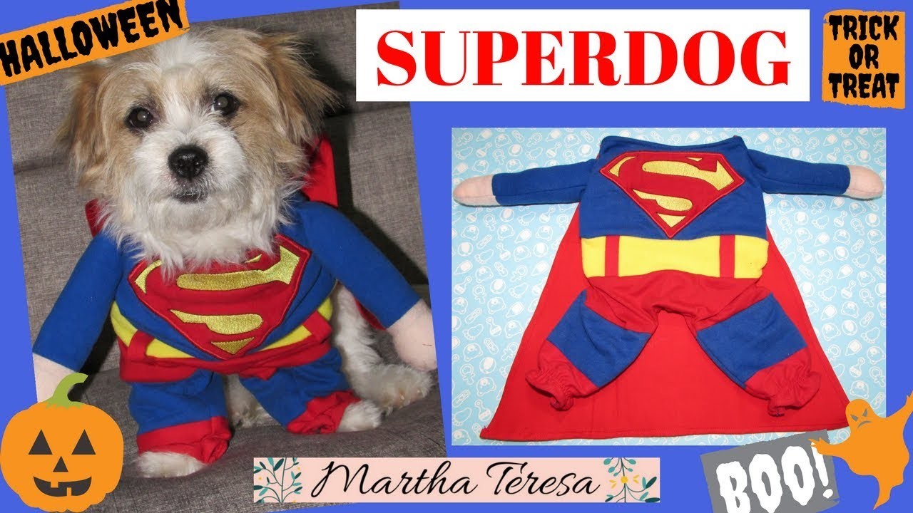 Diy Halloween-DISFRAZ DE SUPERDOG Molde y Costura.