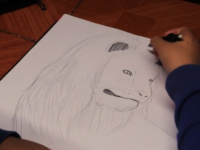 Como dibujar a un leon y su cachorro