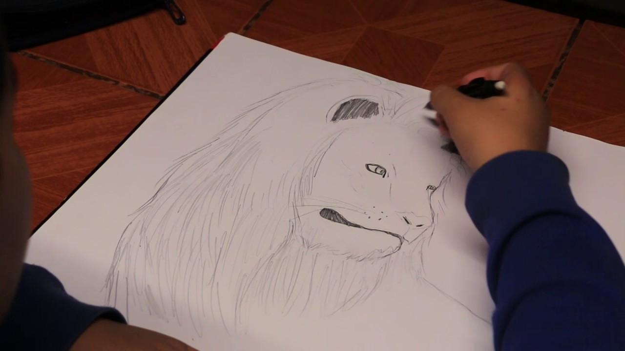 Como dibujar a un leon y su cachorro