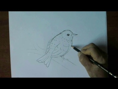 Como Dibujar un Pájaro bien bien fácil. Dibujo para principiantes. How to Draw an Easy Bird.