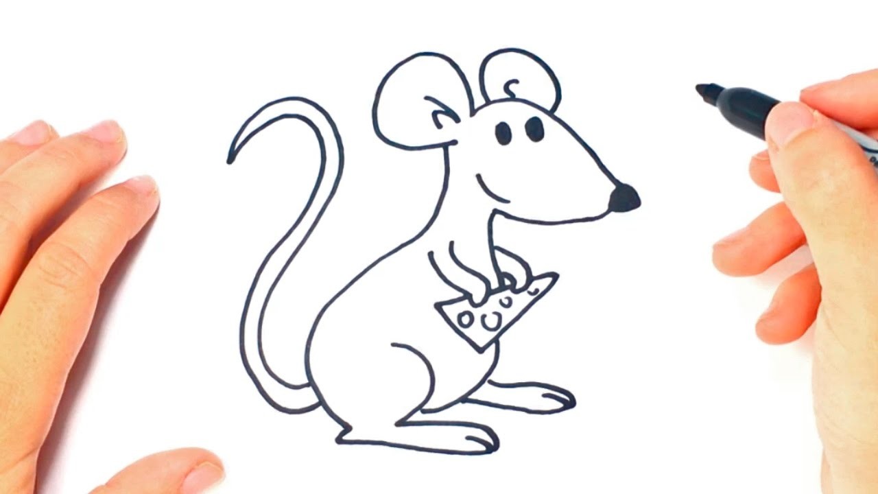 Como dibujar un Raton paso a paso | Dibujo facil de Raton