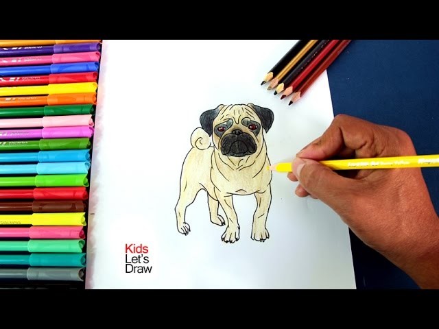 Dibujando un Perro Pug (Carlino) paso a paso | Drawing a Pug Dog Breed