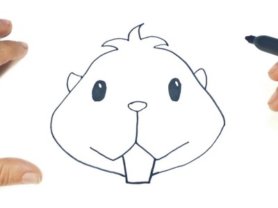 Cómo dibujar la cara de un Hamster paso a paso | Dibujo fácil de la cara de un Hamster