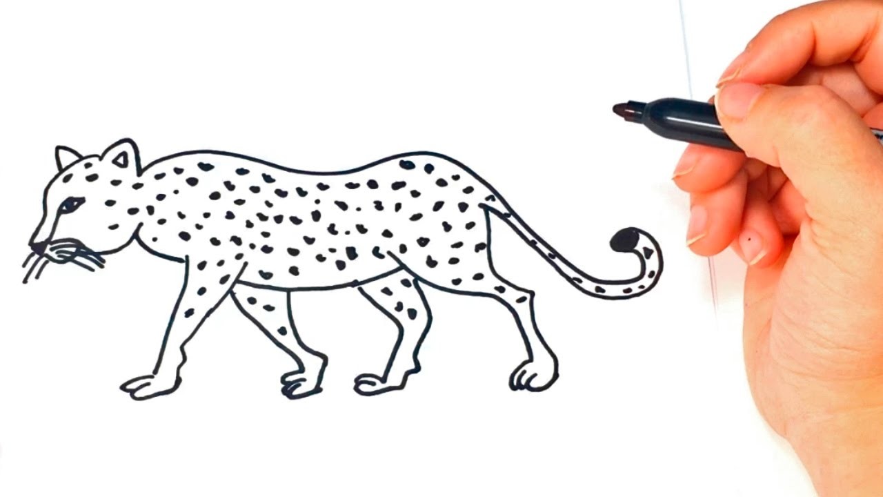 Cómo dibujar un Leopardo paso a paso | Dibujo fácil de Leopardo