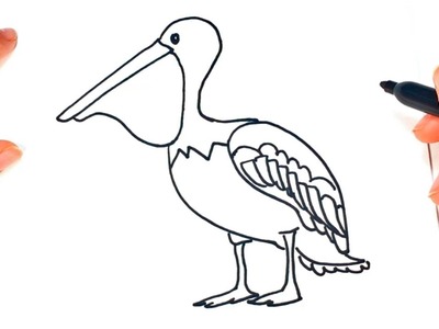 Cómo dibujar un Pelicano paso a paso | Dibujo fácil de Pelicano