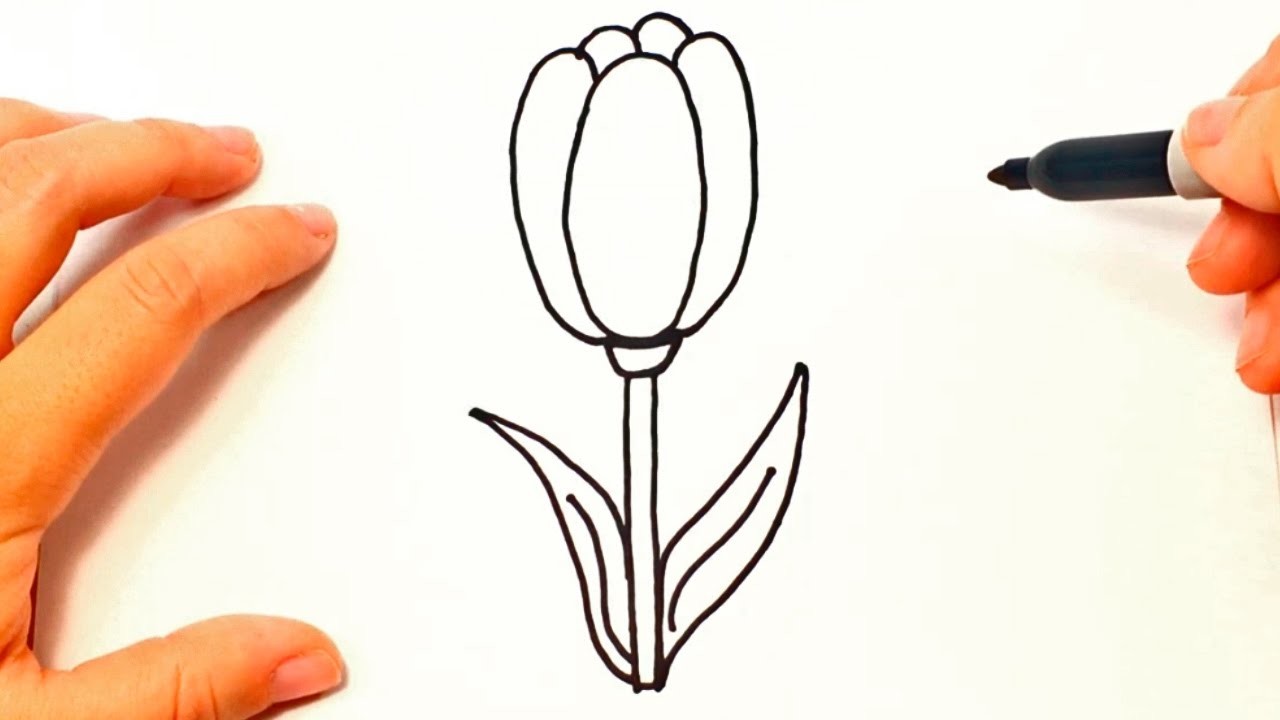 Cómo dibujar un Tulipán paso a paso | Dibujo fácil de Tulipán