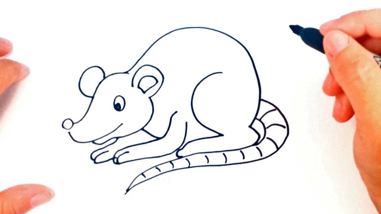 Cómo dibujar una Rata paso a paso | Dibujo fácil de Rata