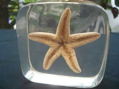 Estrella de mar encapsulada en resina