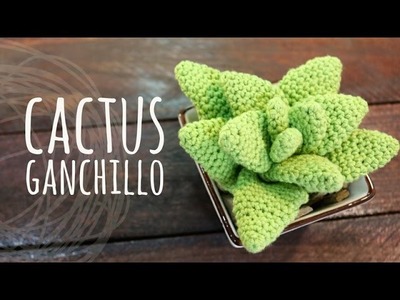 Tutorial Cactus Ganchillo | Crochet Aloe Vera