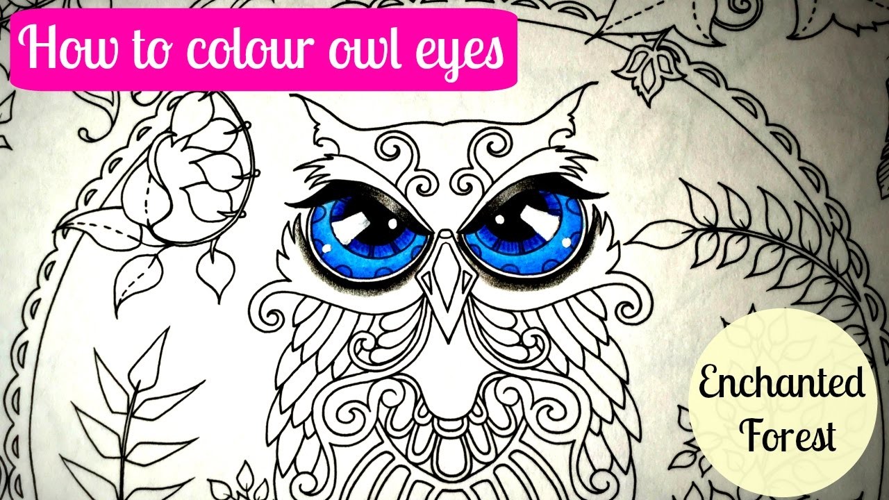 Cómo colorear los ojos del búho | Bosque Encantado| Libro para colorear de adultos - Johanna Basford