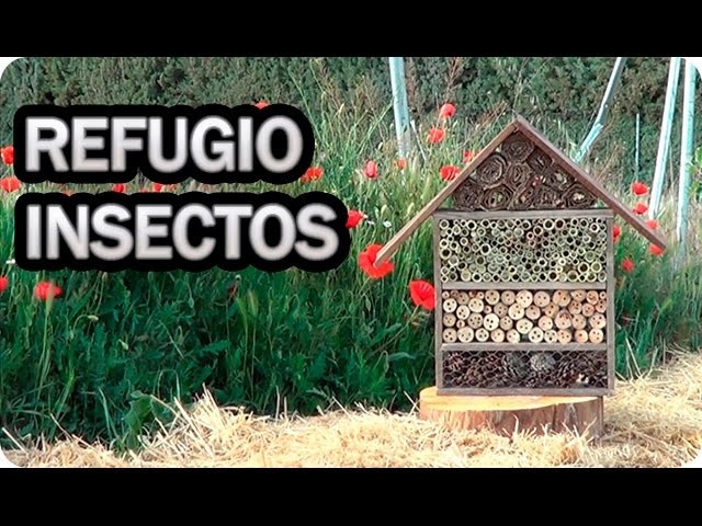 Como Hacer Y Porque Instalar Un Hotel De Insectos O Refugio En El Huerto || La Huertina De Toni