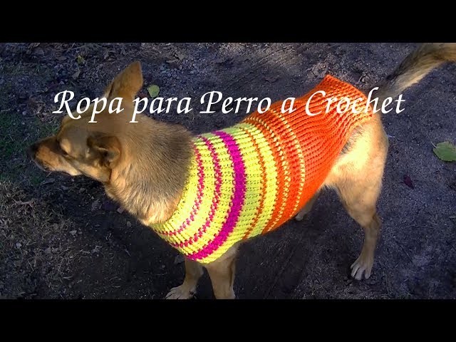 ROPA en tejido Crochet o ganchillo para #mascota tutorial paso a paso. Moda a Crochet