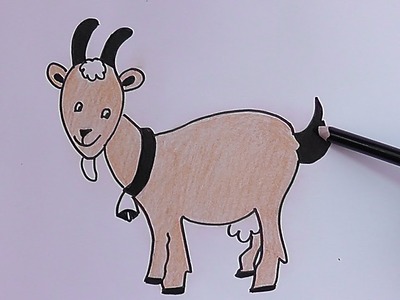 Como dibujar y colorear paso a paso a Cabra - As drawing and coloring step to Cabra