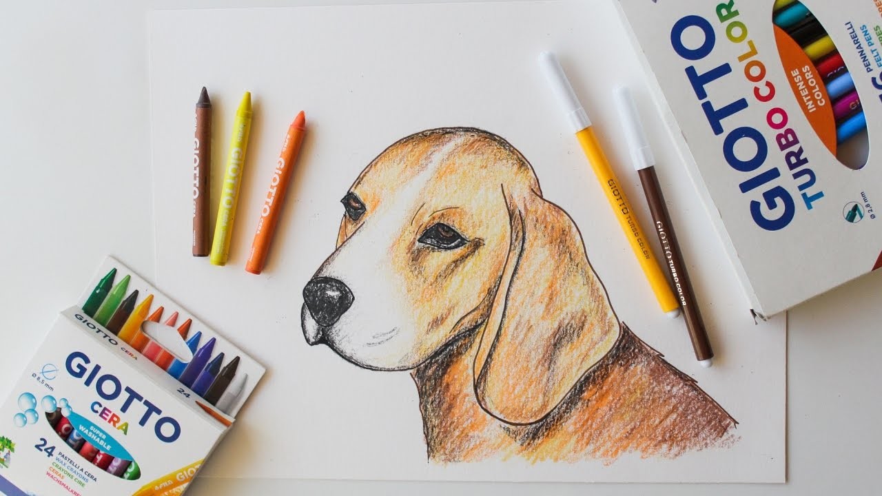Cómo dibujar y colorear un perro con rotuladores y ceras Giotto
