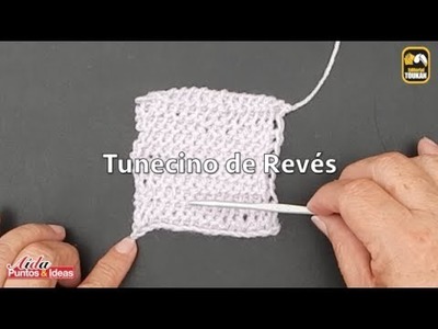 Cómo tejer Tunecino de Revés