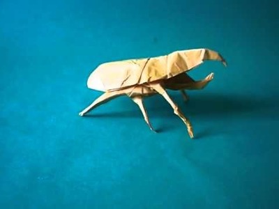 Escarabajo Hércules