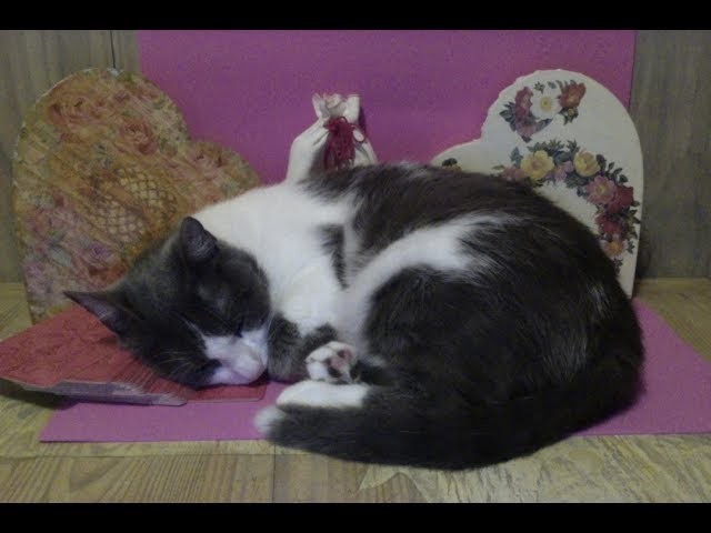 GÉMINIS JUNIO 2017 - Especial AMOR (Horóscopo - Tarot) TAROT ECLÉCTICO