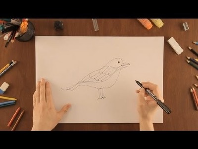 Cómo dibujar un pájaro : Dibujos de la Naturaleza