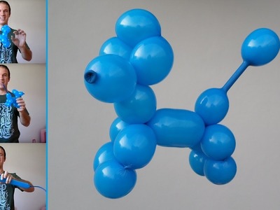 Como hacer un perrito con globos - como hacer figuras con globos largos faciles - caniche o poodle