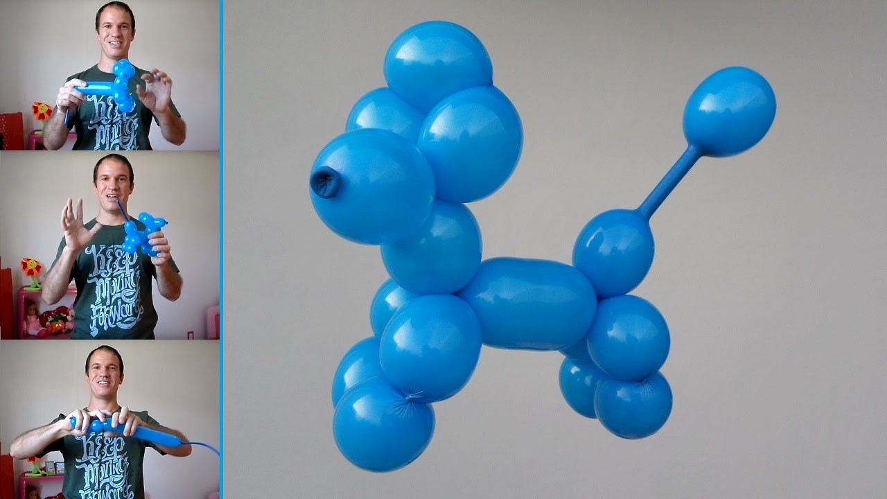 Como hacer un perrito con globos - como hacer figuras con globos largos faciles - caniche o poodle