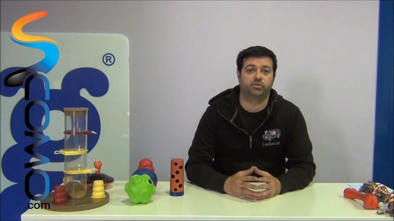 Juguetes interactivos para perros