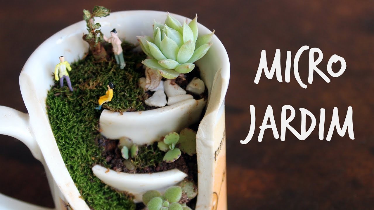 Micro jardim na xicara quebrada | Very small garden in a broken cup - Cactos e suculentas