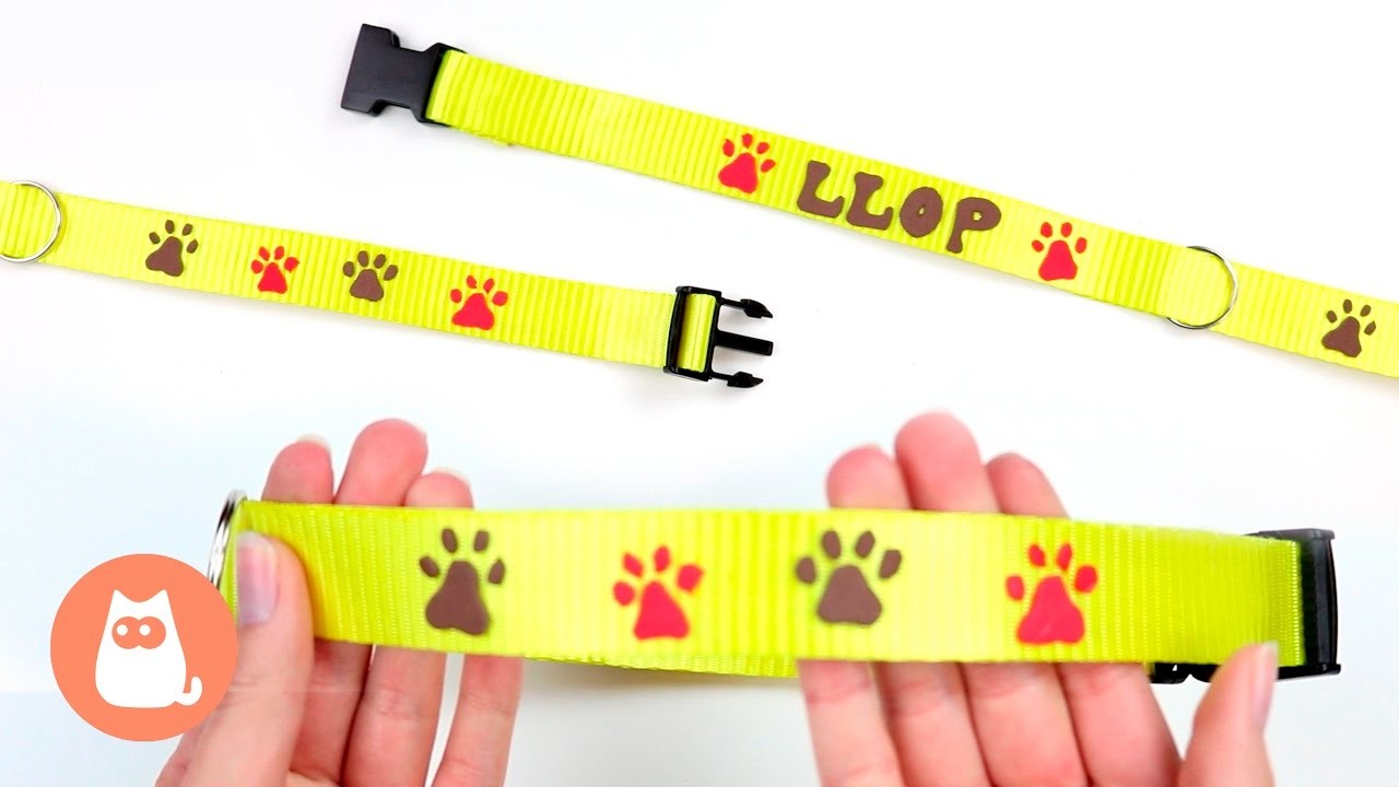 Collar para perros DIY - Manualidades caseras para mascotas