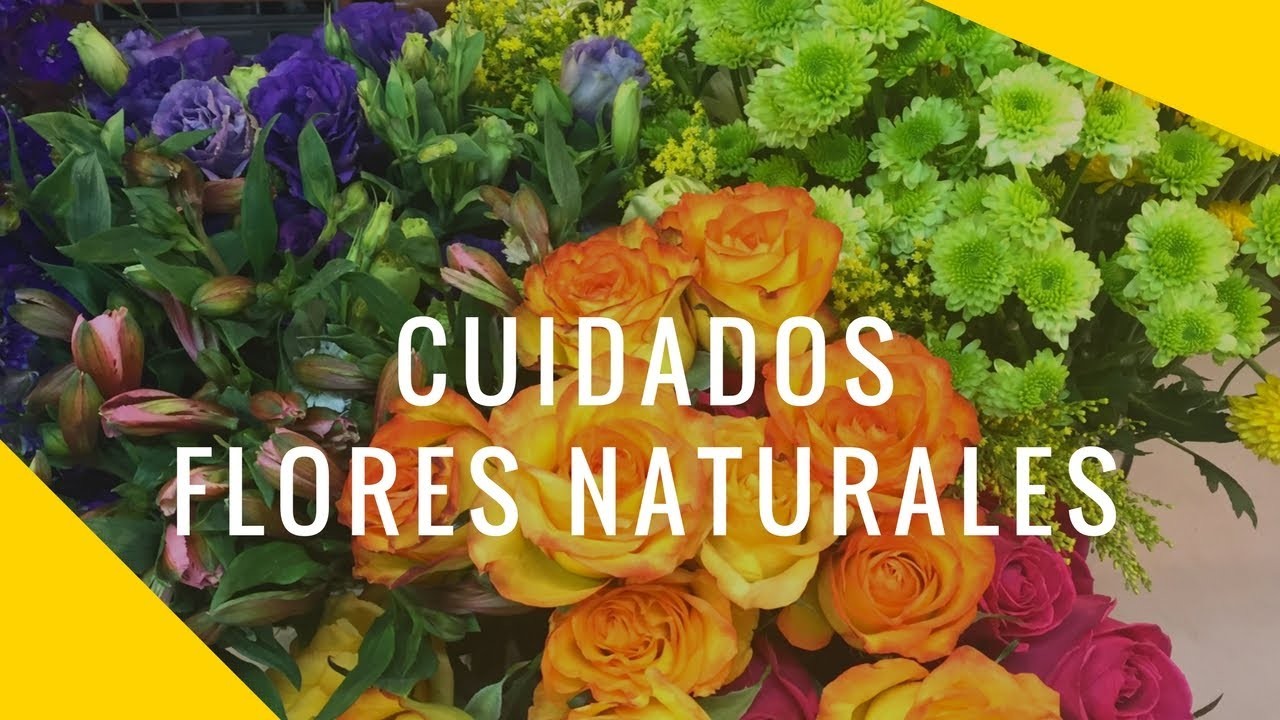 Sugerencias para que duren más las flores y saber hacer arreglos de flores