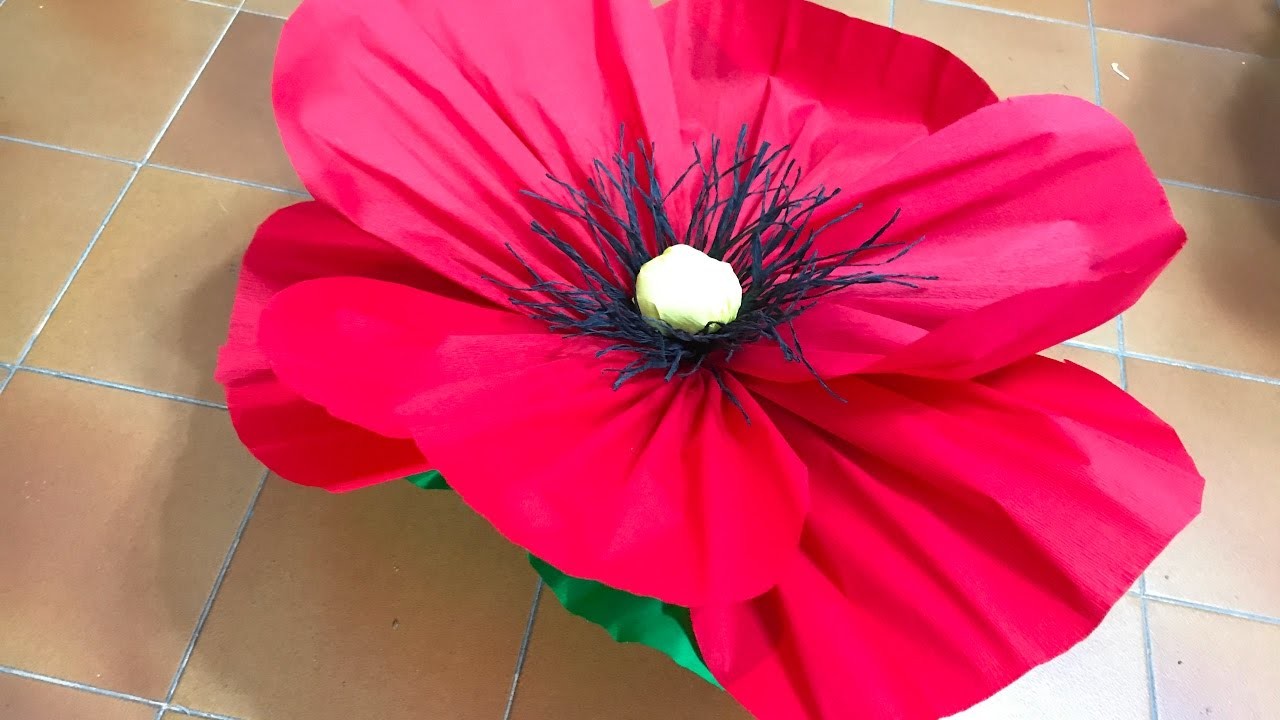 Flor grande  de amapola 18  Giant poppy flower