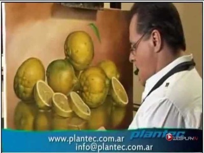 Rodolfo Insaurralde Teoria del verde  hojas limonero.flv