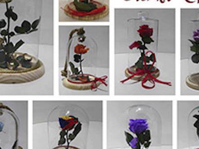 Rosa Eterna - Rosa bella y bestia