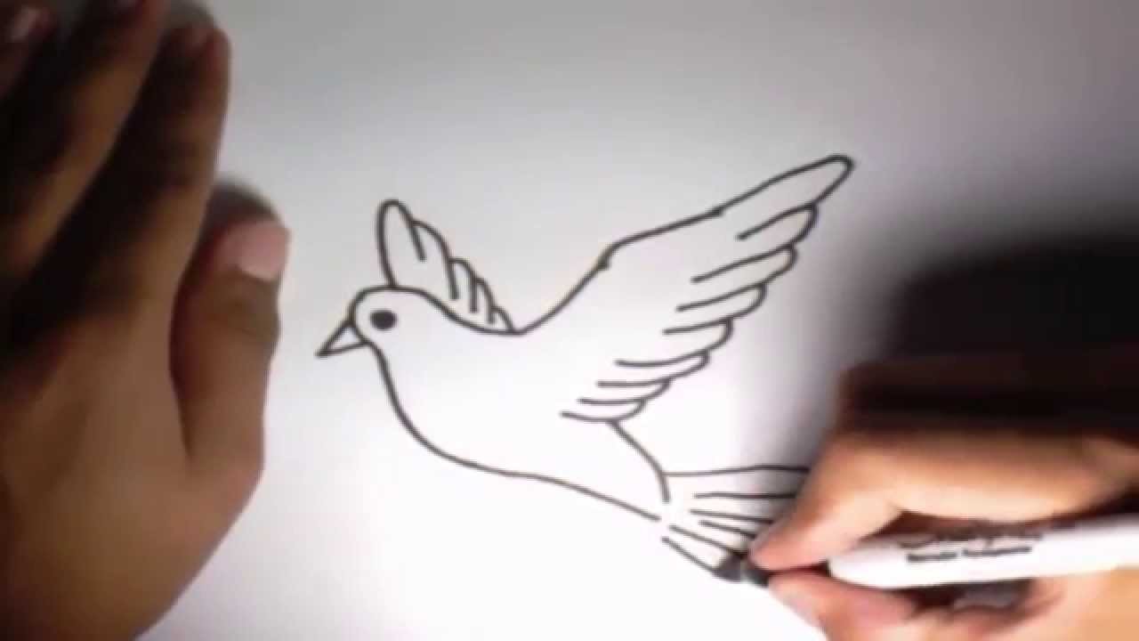 Como dibujar una Paloma l How to draw a Dove