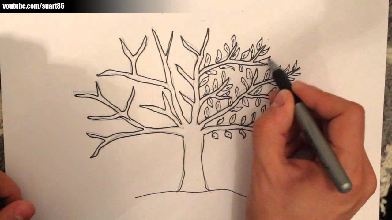 Como dibujar un arbol