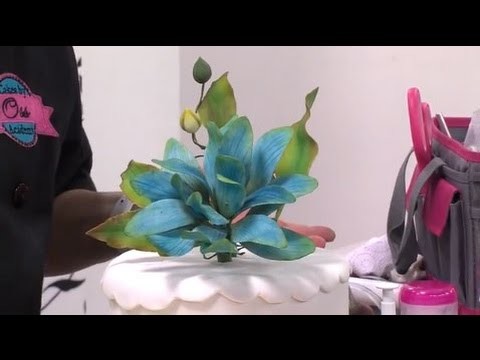 Como hacer flores de lotus en pasta de azucar - Hogar Tv  por Juan Gonzalo Angel