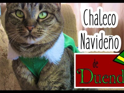 DIY Chaleco Navideño de Duende para Gato