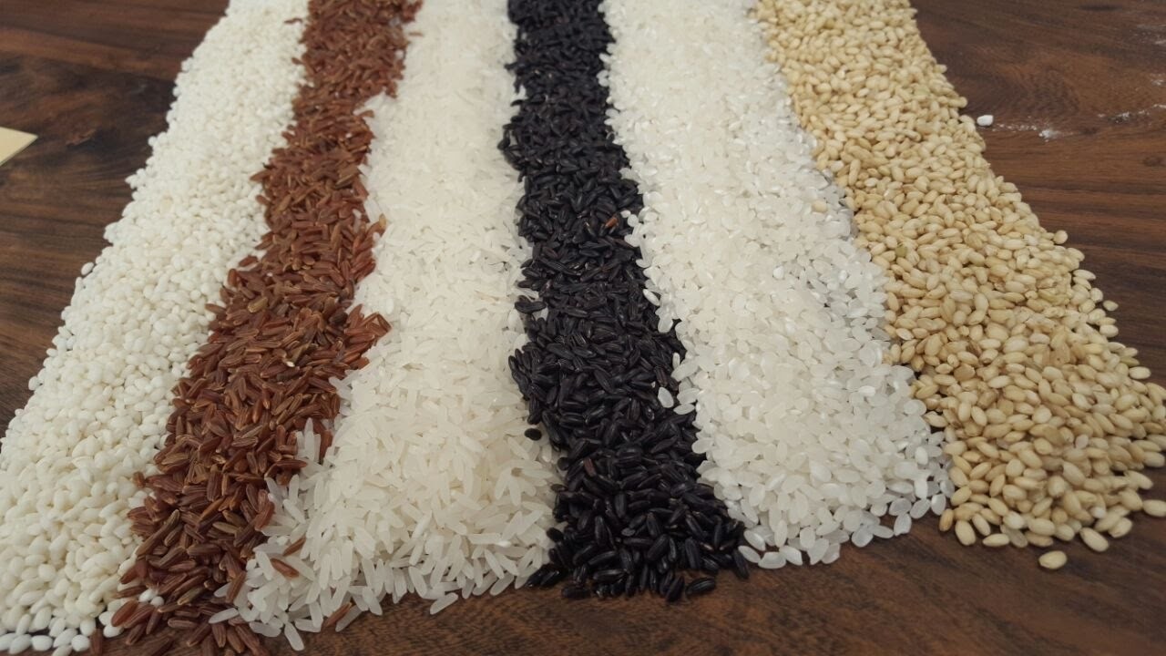 Las variedades del arroz en Argentina
