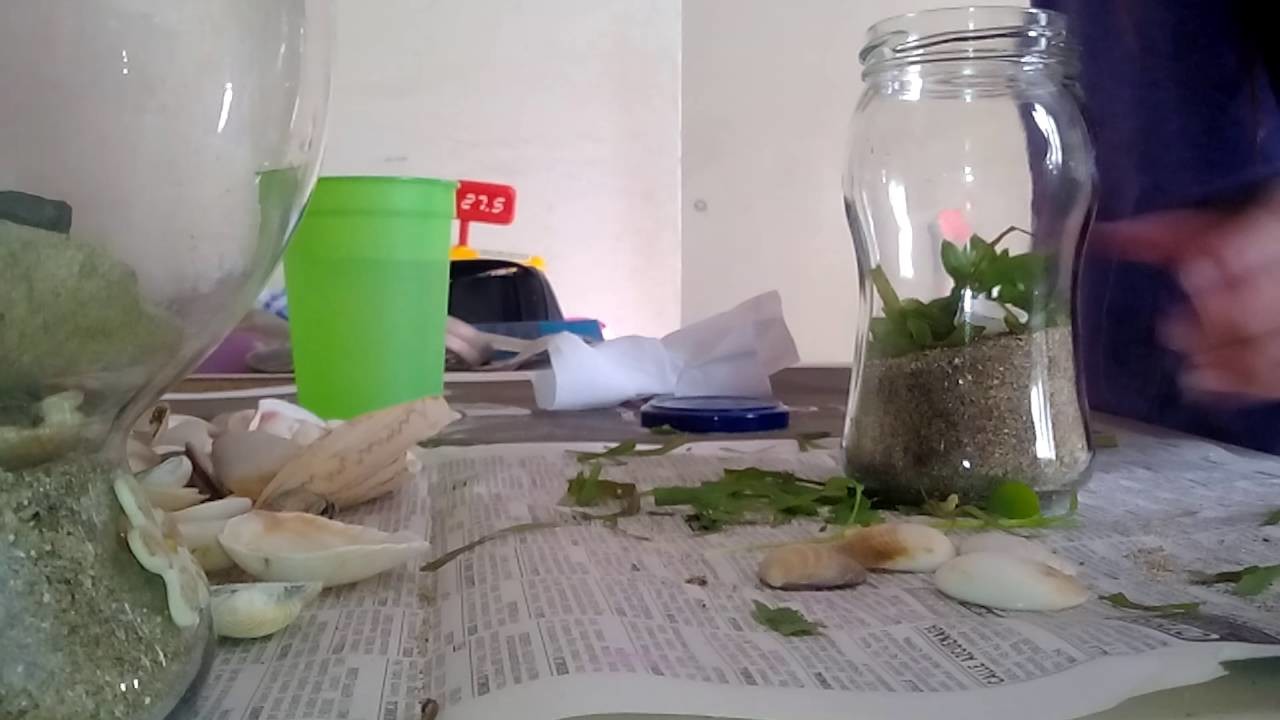 Manualidad con un frasco de vidrio mar