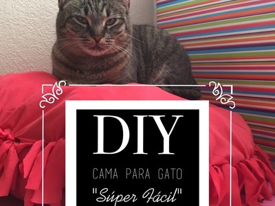 DIY Cama Para Gato Super Fácil