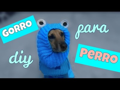 DIY ROPA PARA PERRO. GORRO PERRO | ANIMALTIME