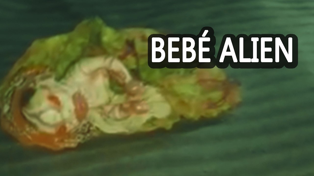 Bebe Alien Filmado Extraterrestres Reales En La Tierra Real O Falso