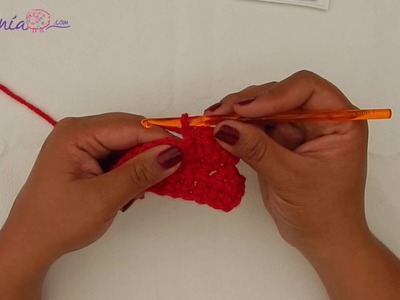 Puntos Básicos Disminuciones Medios Puntos