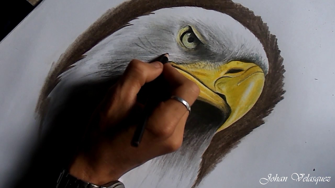 Como Dibujar Un águila. How to draw an  Eagle