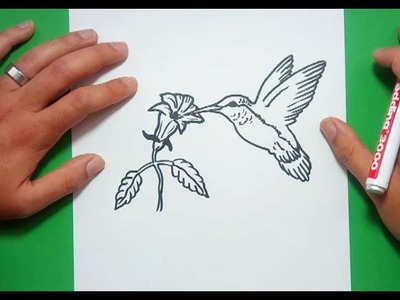 Como dibujar un colibri paso a paso | How to draw a hummingbird